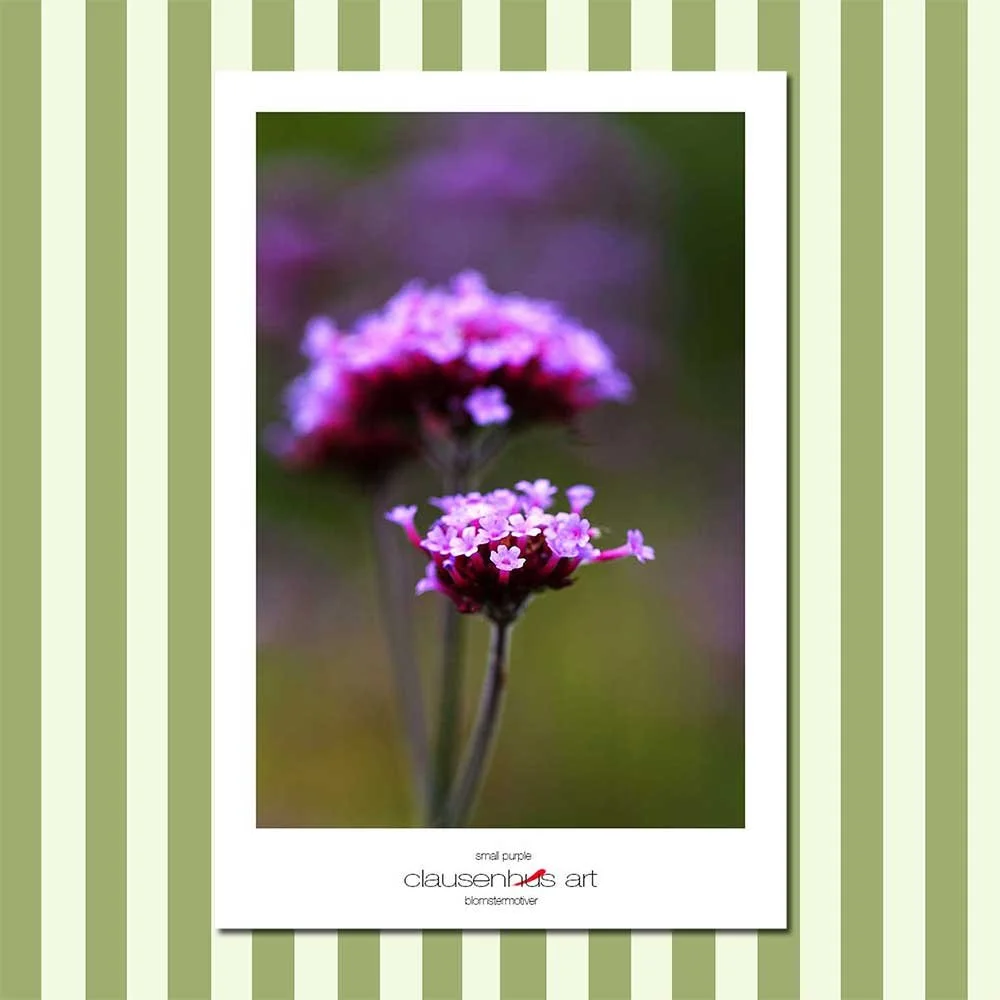 small-purple.jpg
