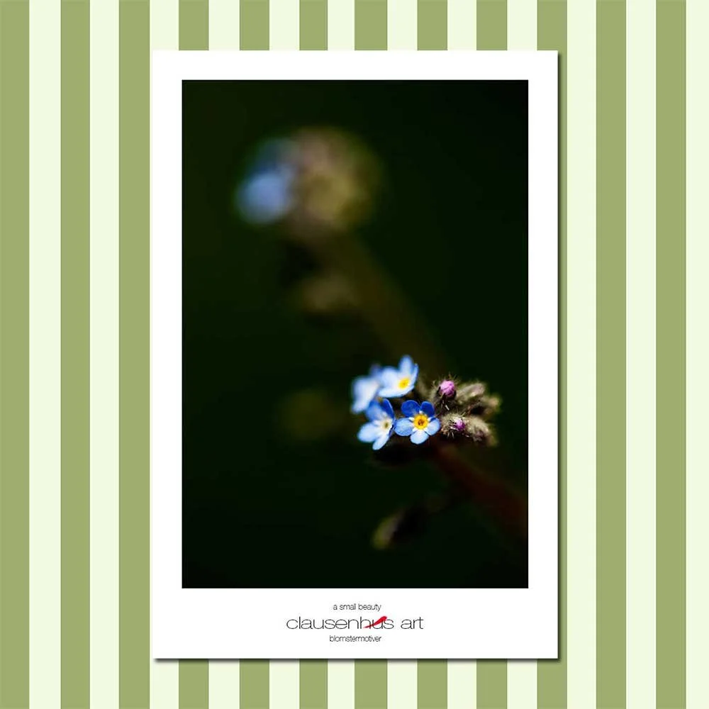 a-small-beauty.jpg