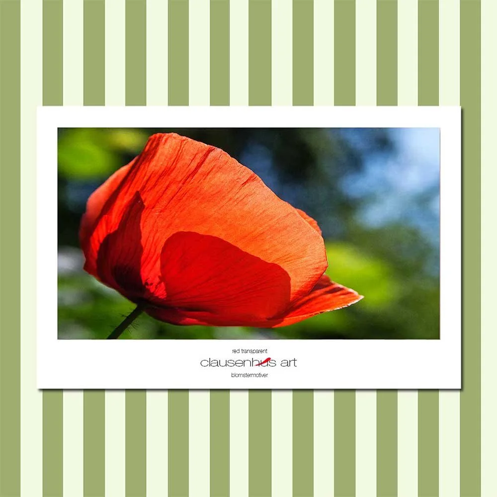 red-transparent.jpg