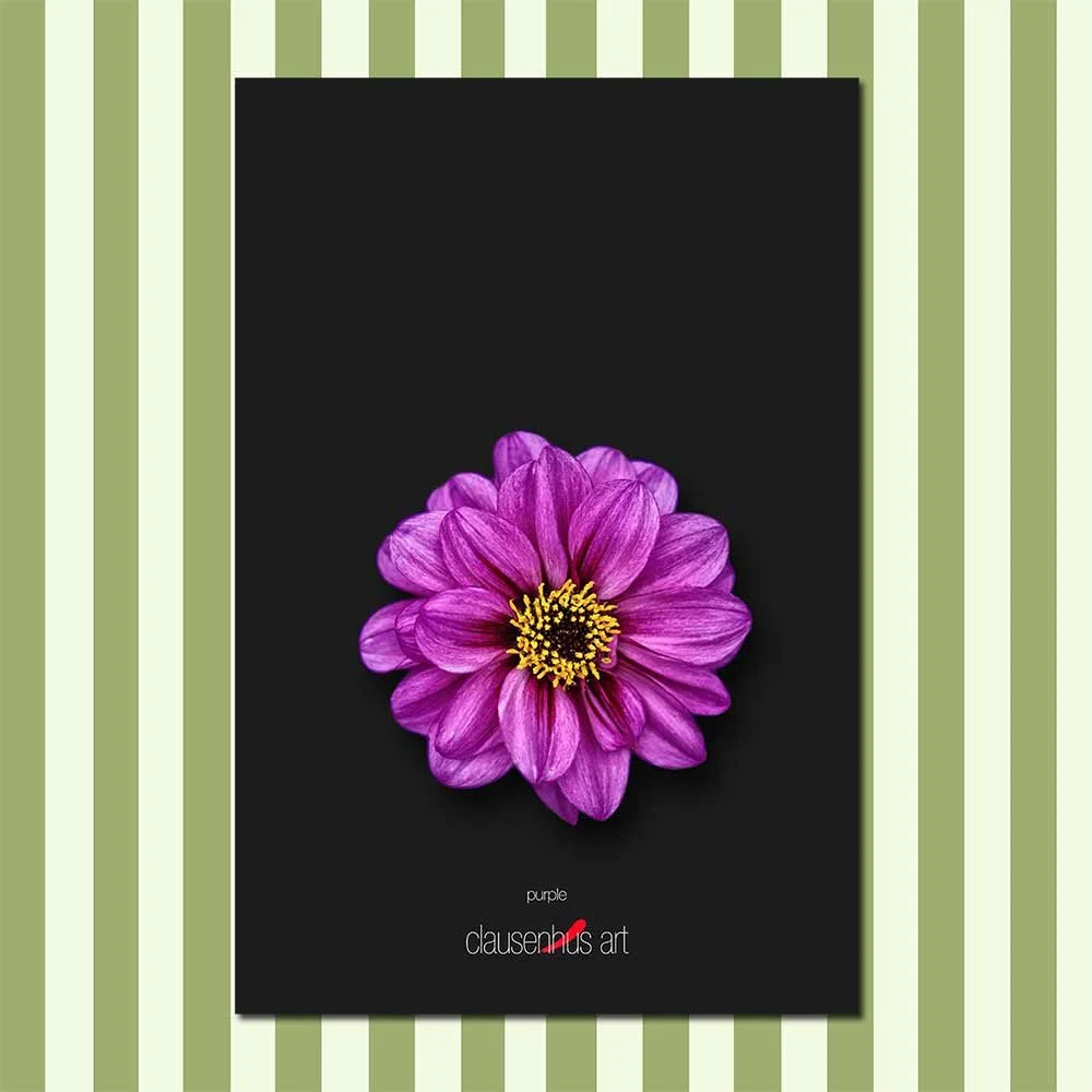 purple.jpg