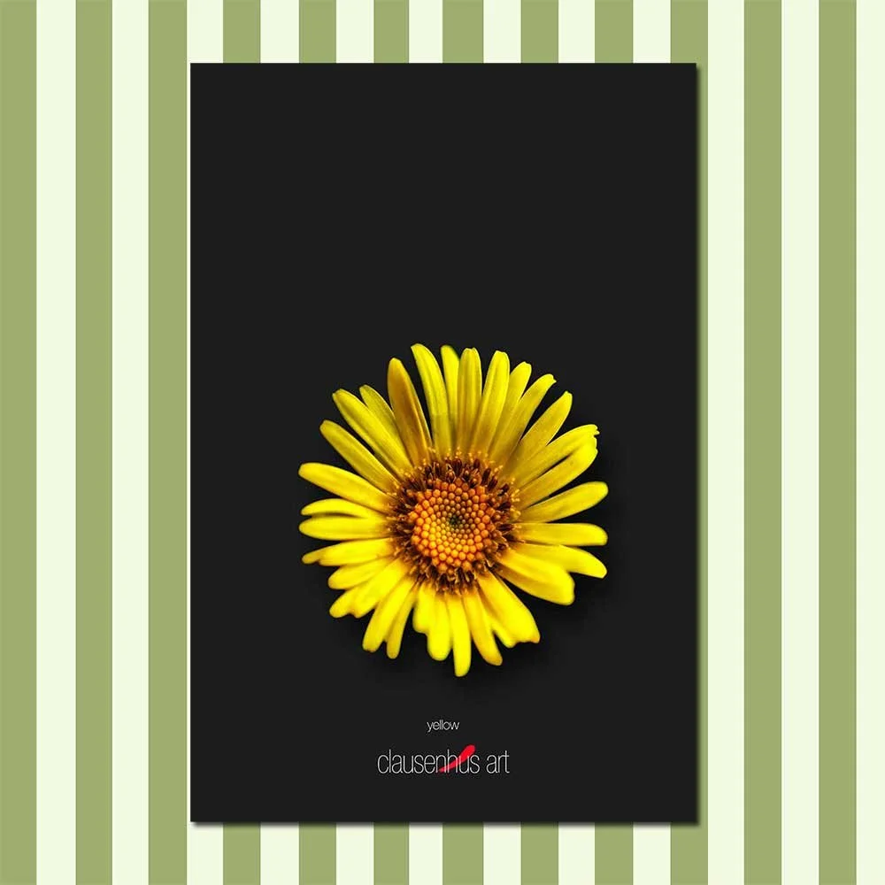 yellow.jpg