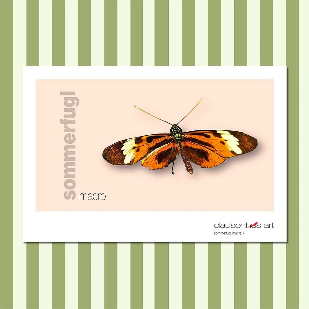 sommerfugl-1-copy.jpg