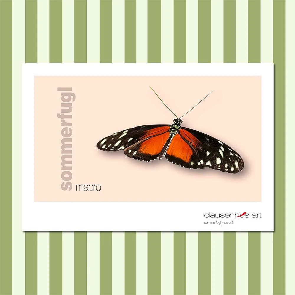 sommerfugl-2-copy.jpg