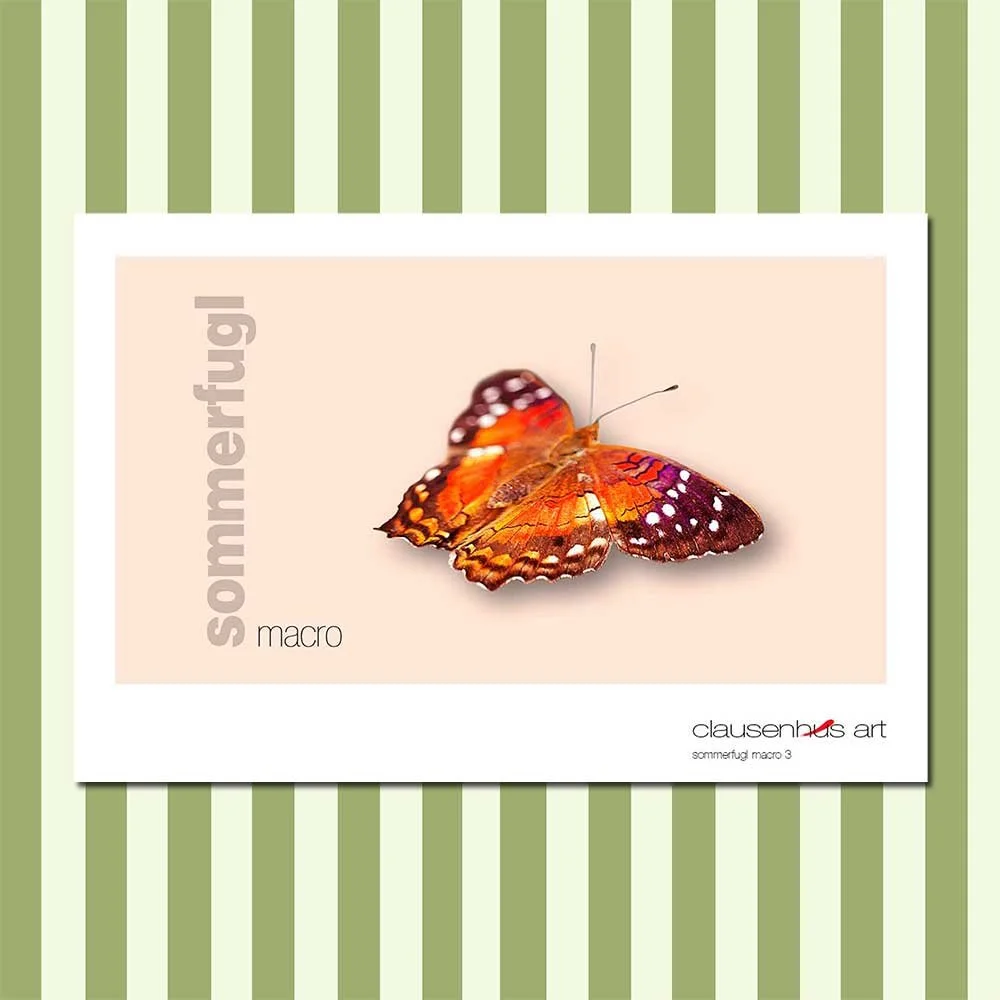 sommerfugl-3-copy.jpg