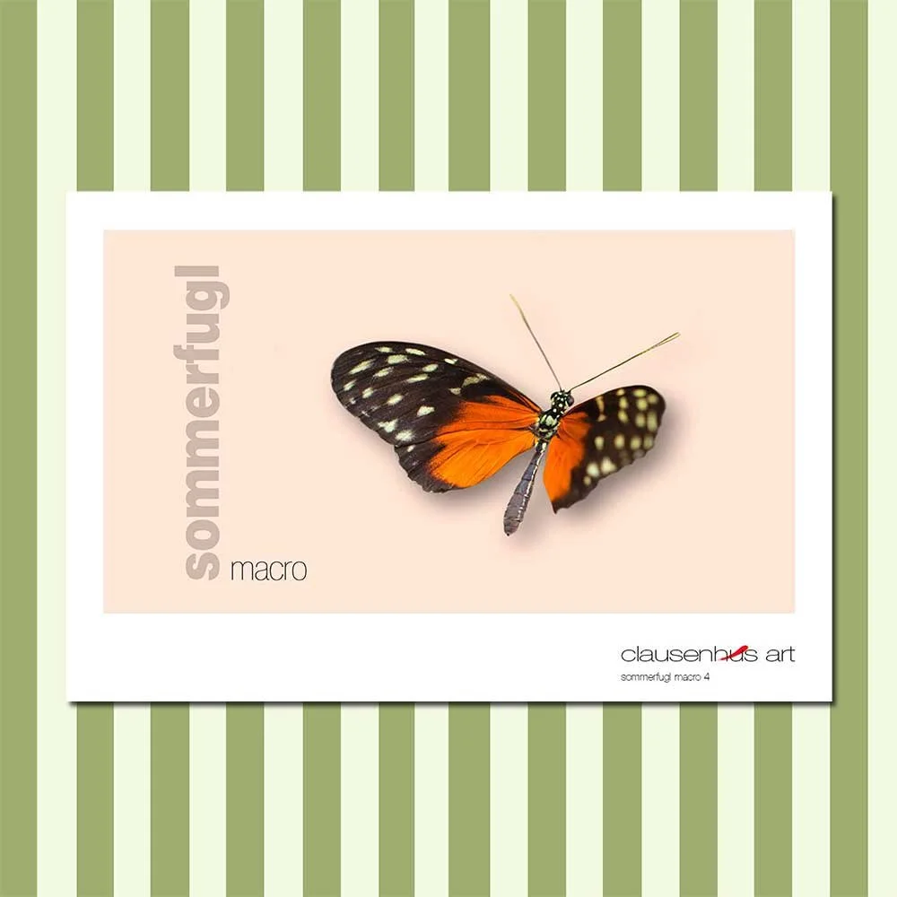 sommerfugl-4-copy.jpg