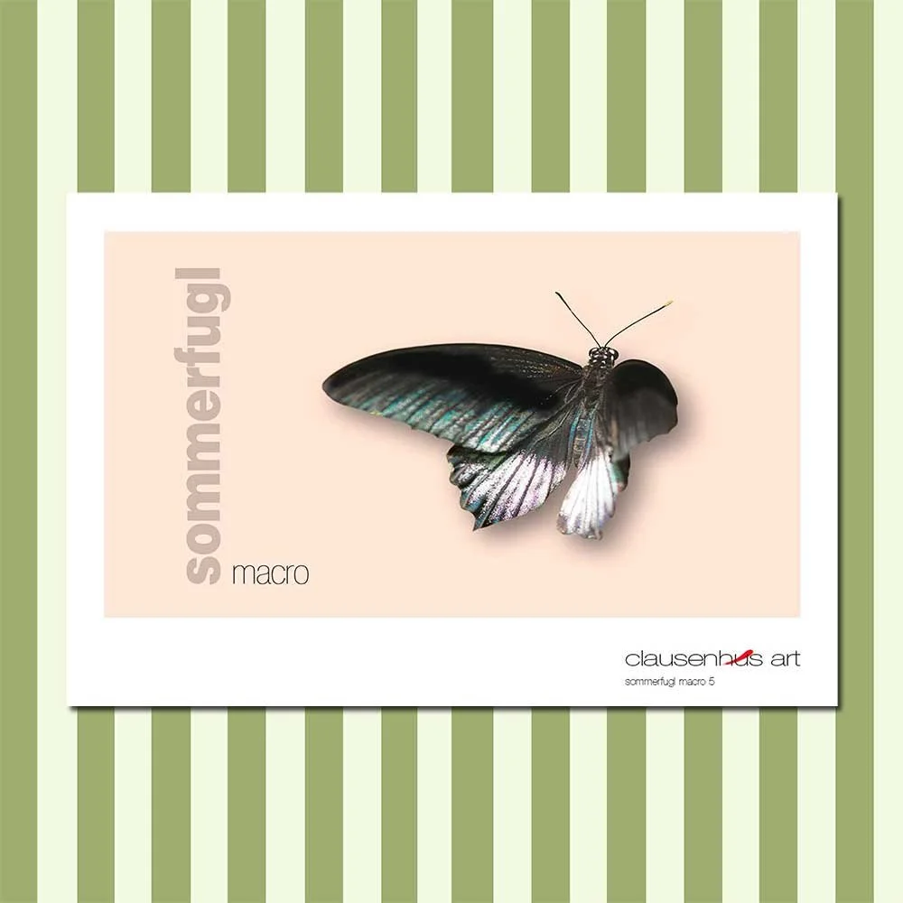 sommerfugl-5-copy.jpg