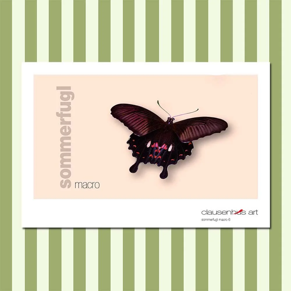 sommerfugl-6-copy.jpg