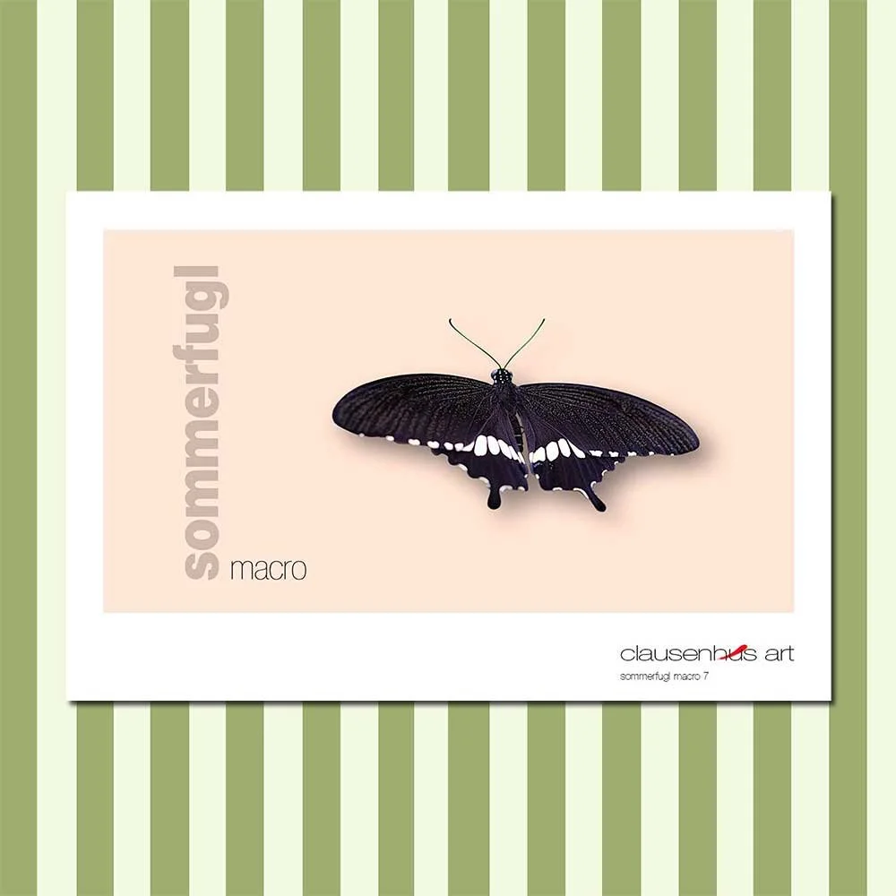 sommerfugl-7-copy.jpg