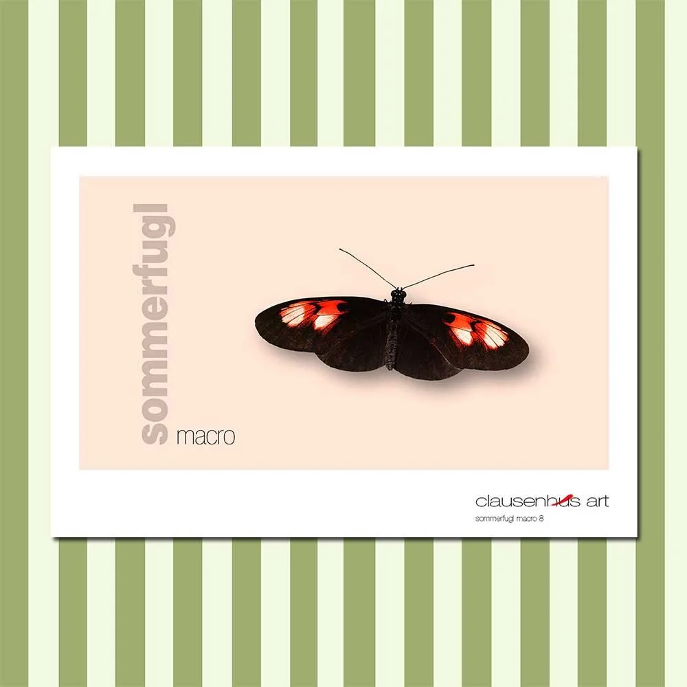 sommerfugl-8-copy.jpg