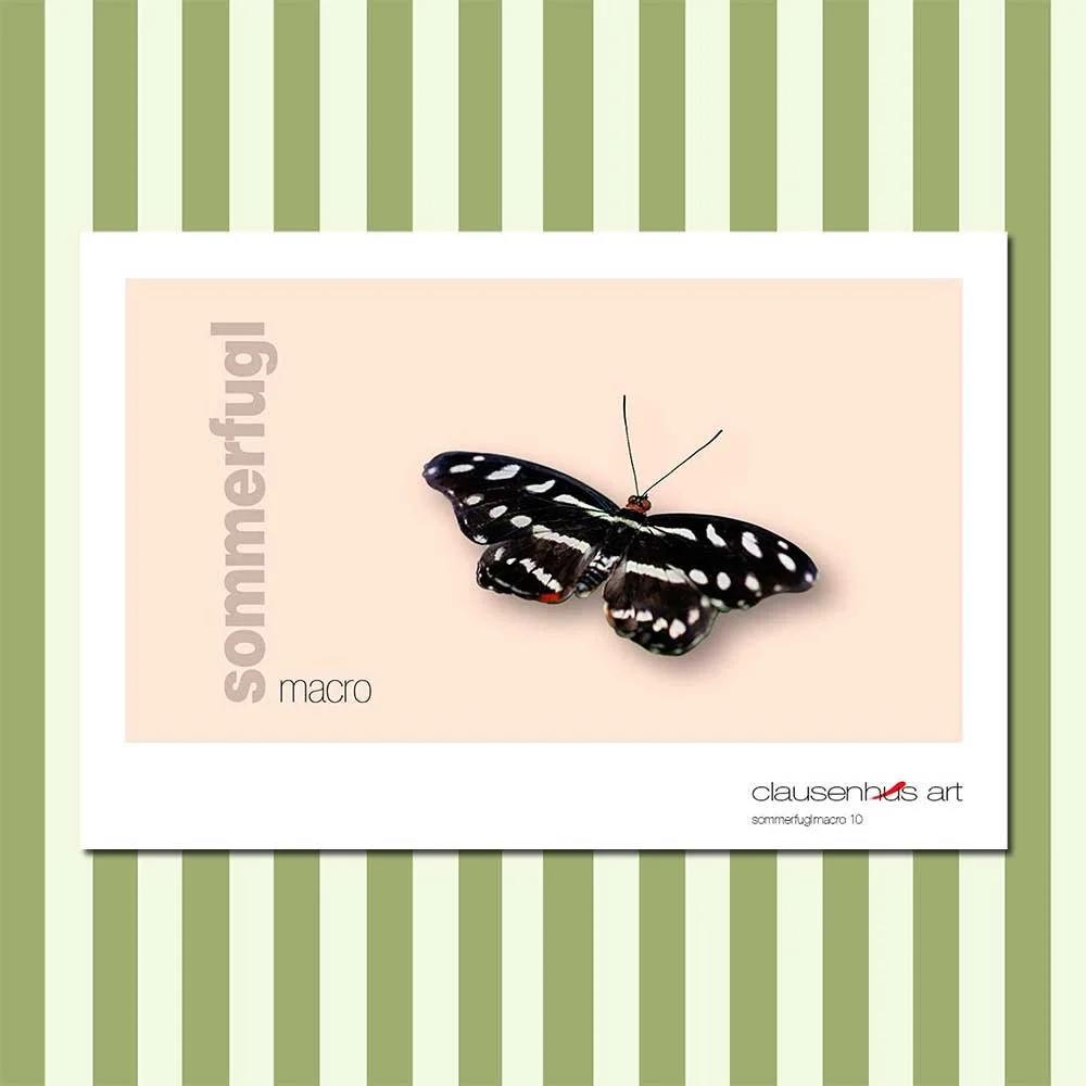 sommerfugl-10-copy.jpg