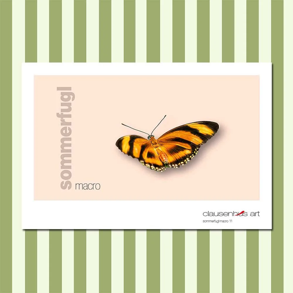 sommerfugl-11-copy.jpg