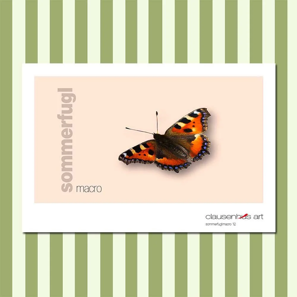 sommerfugl-12.jpg