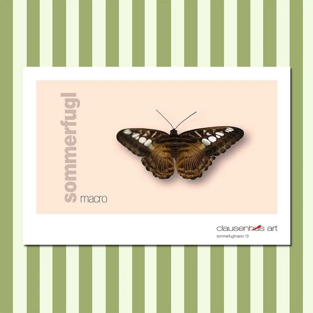 sommerfugl-13.jpg