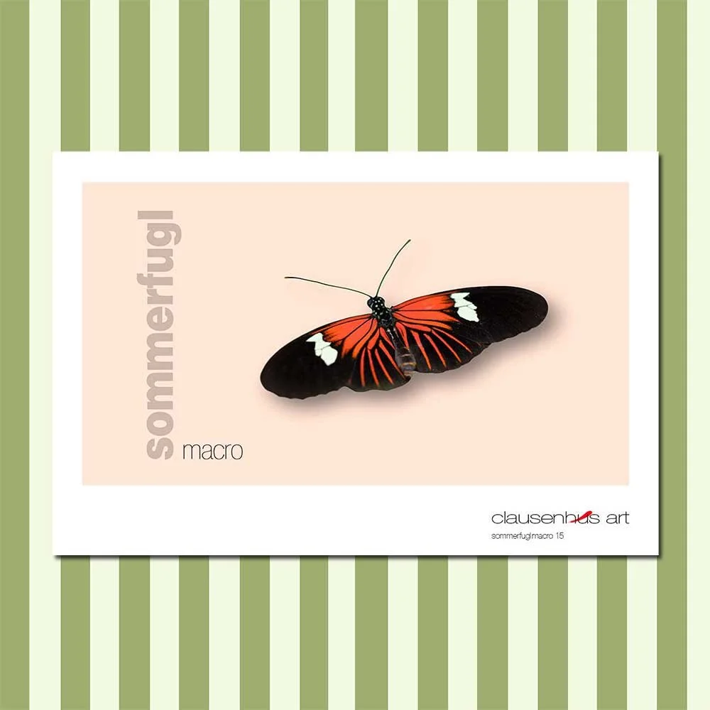 sommerfugl-15.jpg