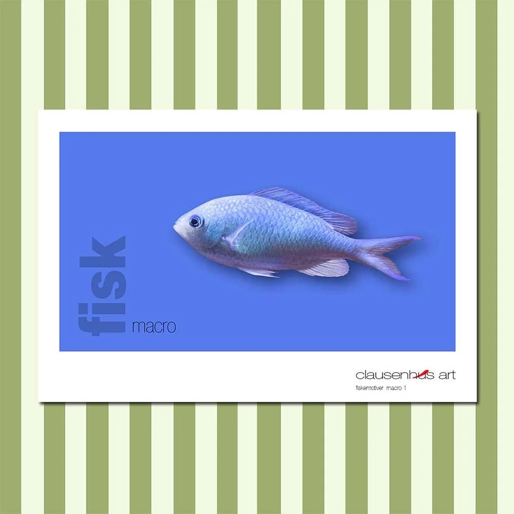 fiskemotiv-1-copy.jpg