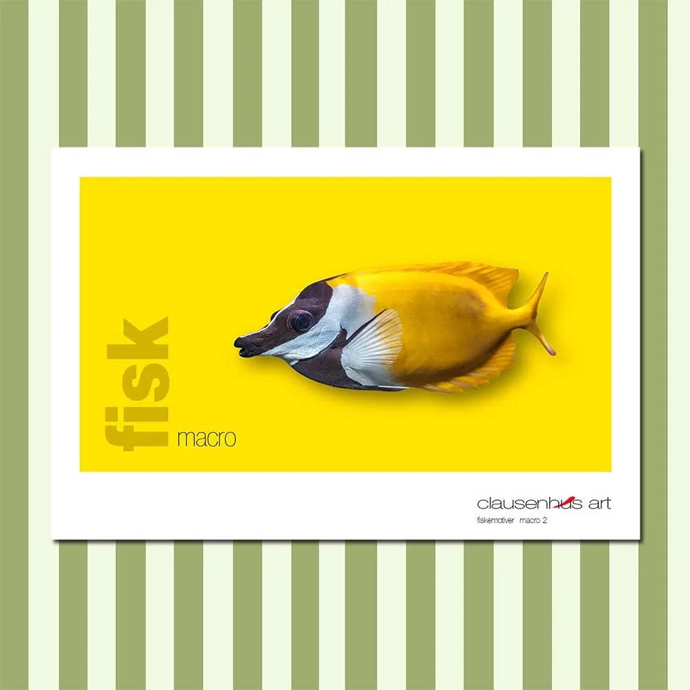 fiskemotiv-2-copy.jpg