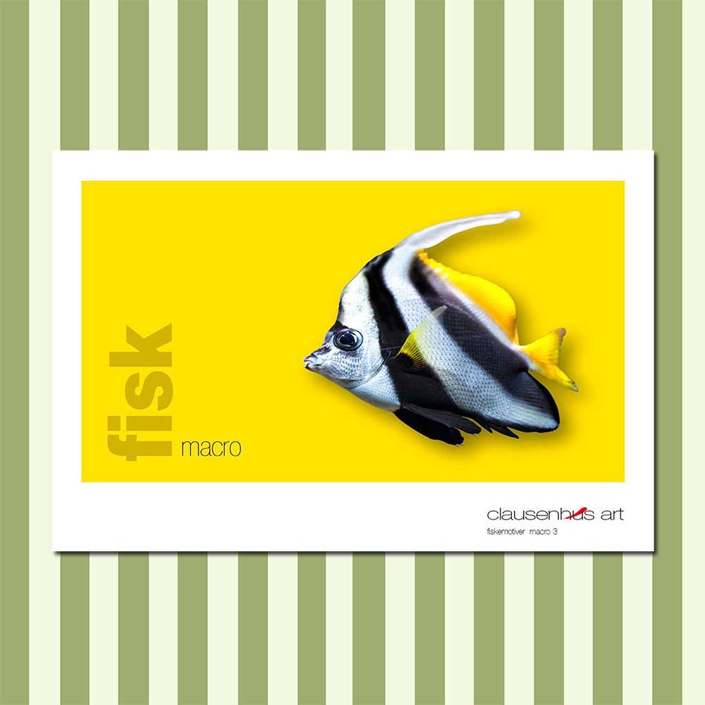 fiskemotiv-3-copy.jpg