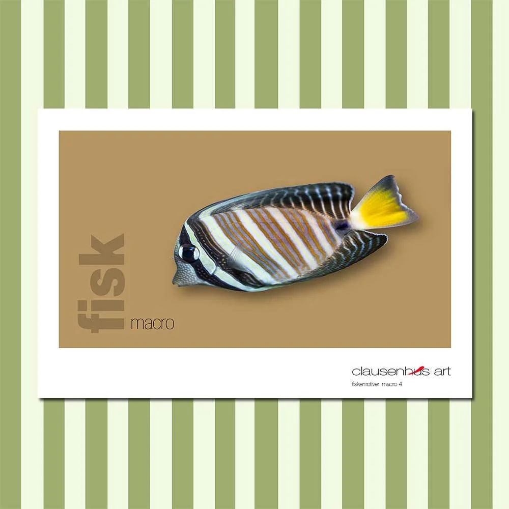 fiskemotiv-4-copy.jpg