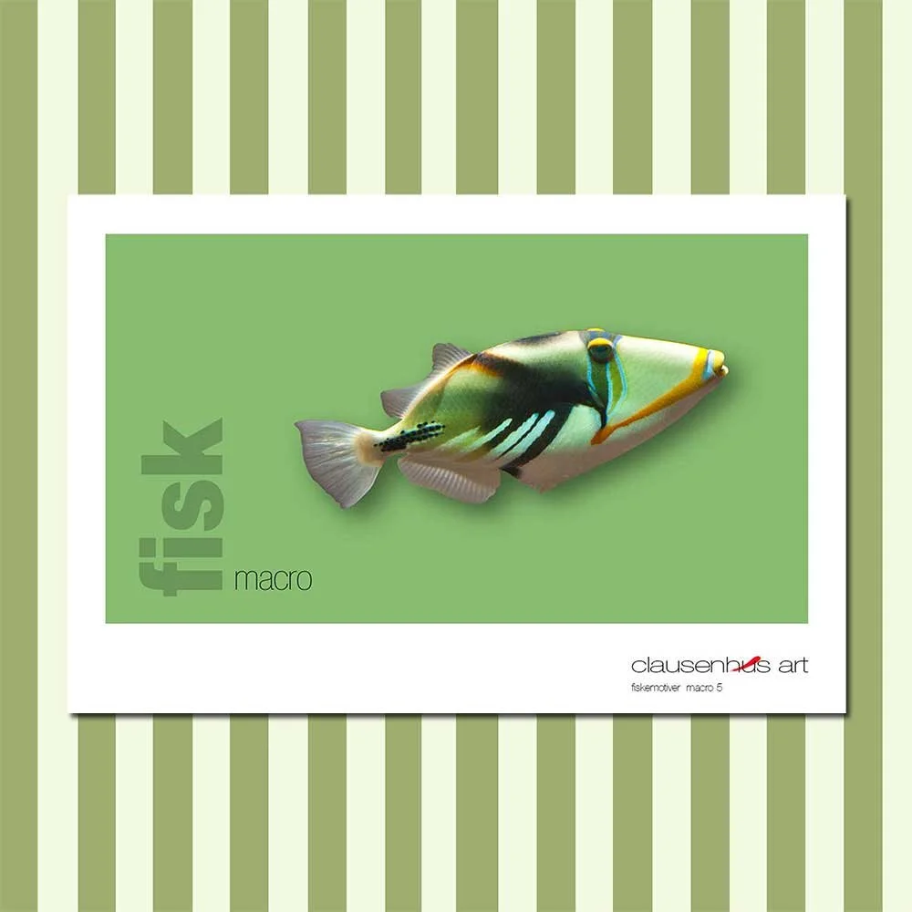fiskemotiv-5-copy.jpg