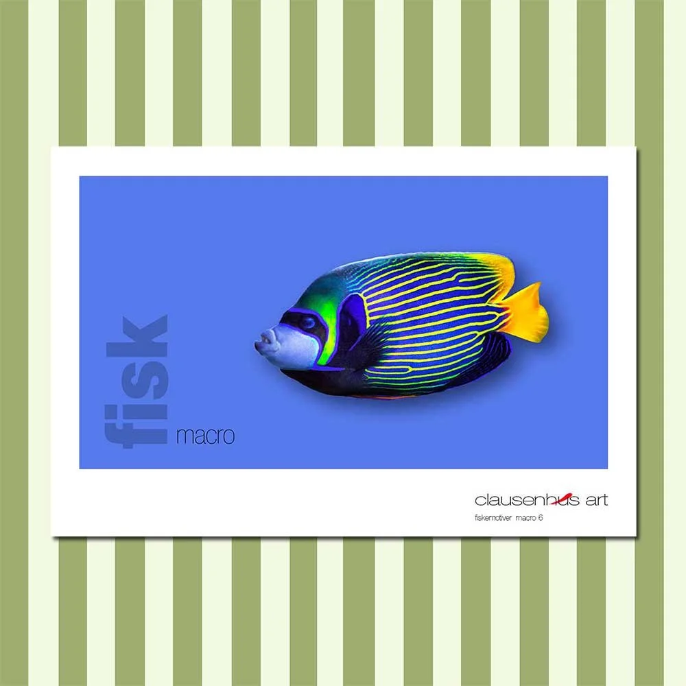 fiskemotiv-6.jpg