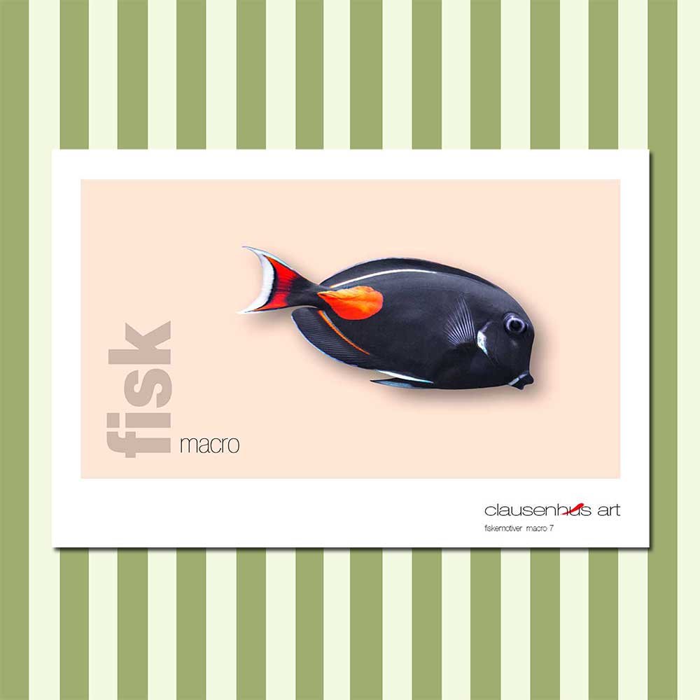 fiskemotiv-7-copy.jpg