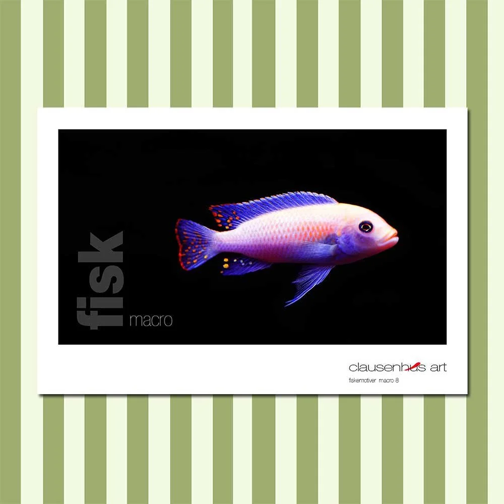 fiskemotiv-8-copy.jpg