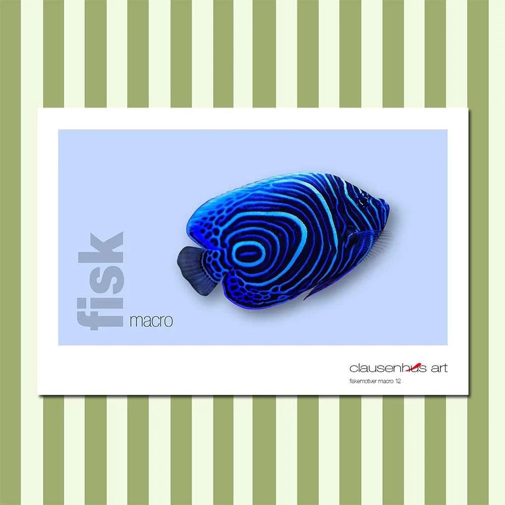 fiskemotiv-12-copy.jpg