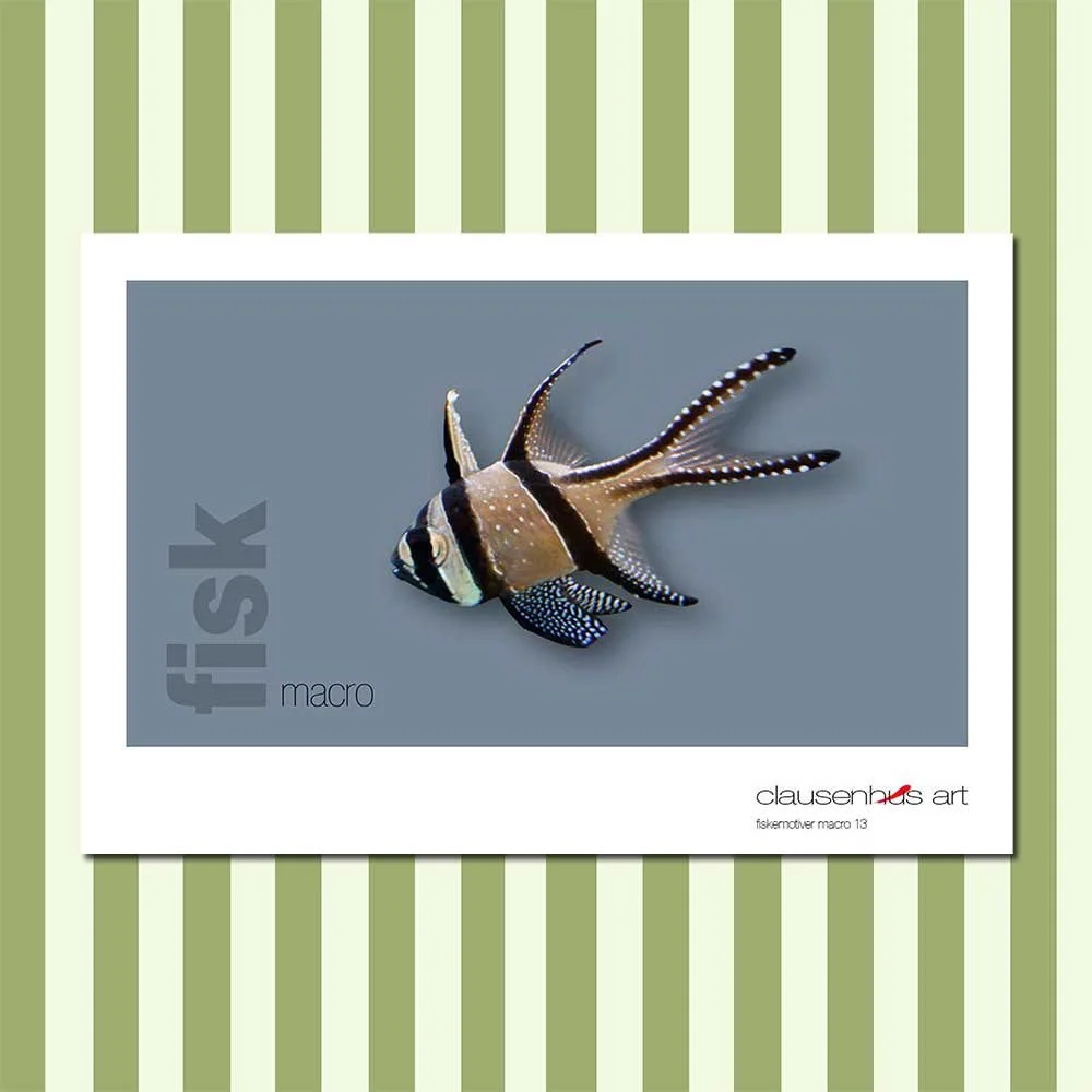 fiskemotiv-13-copy.jpg