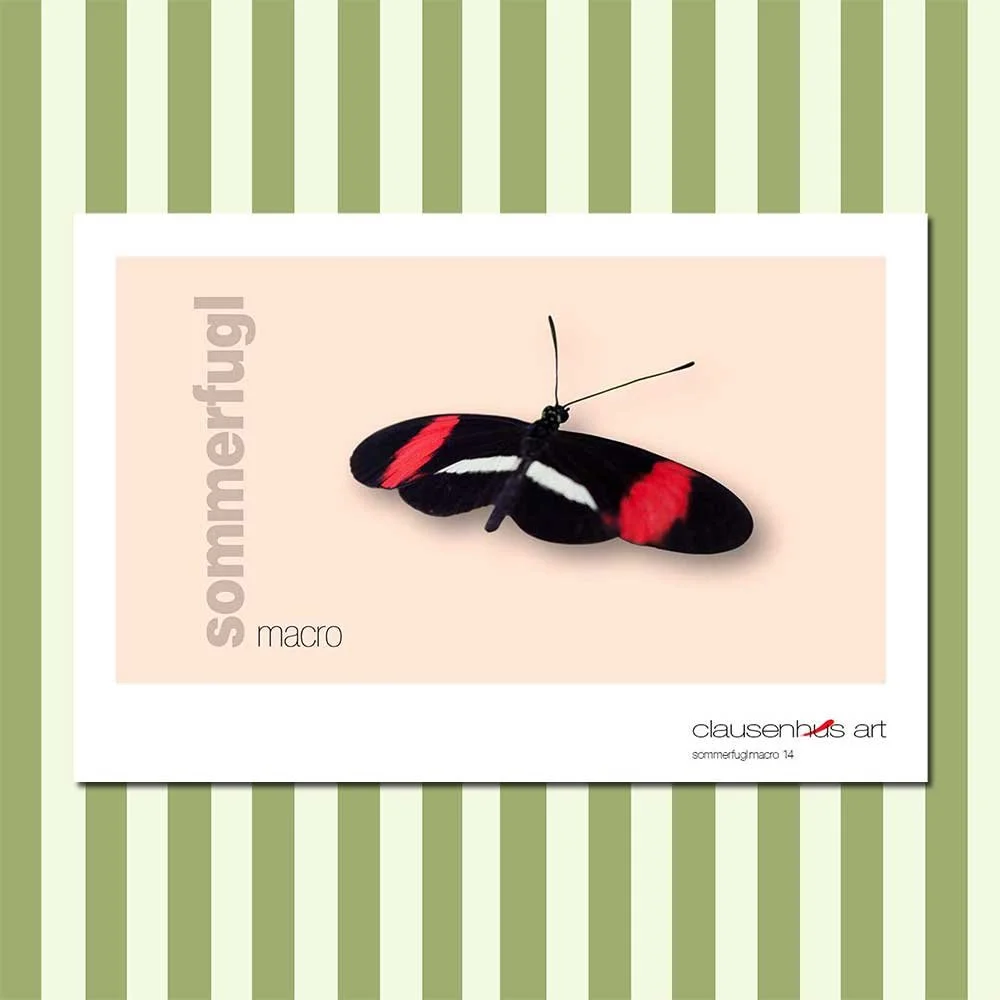 sommerfugl-14.jpg