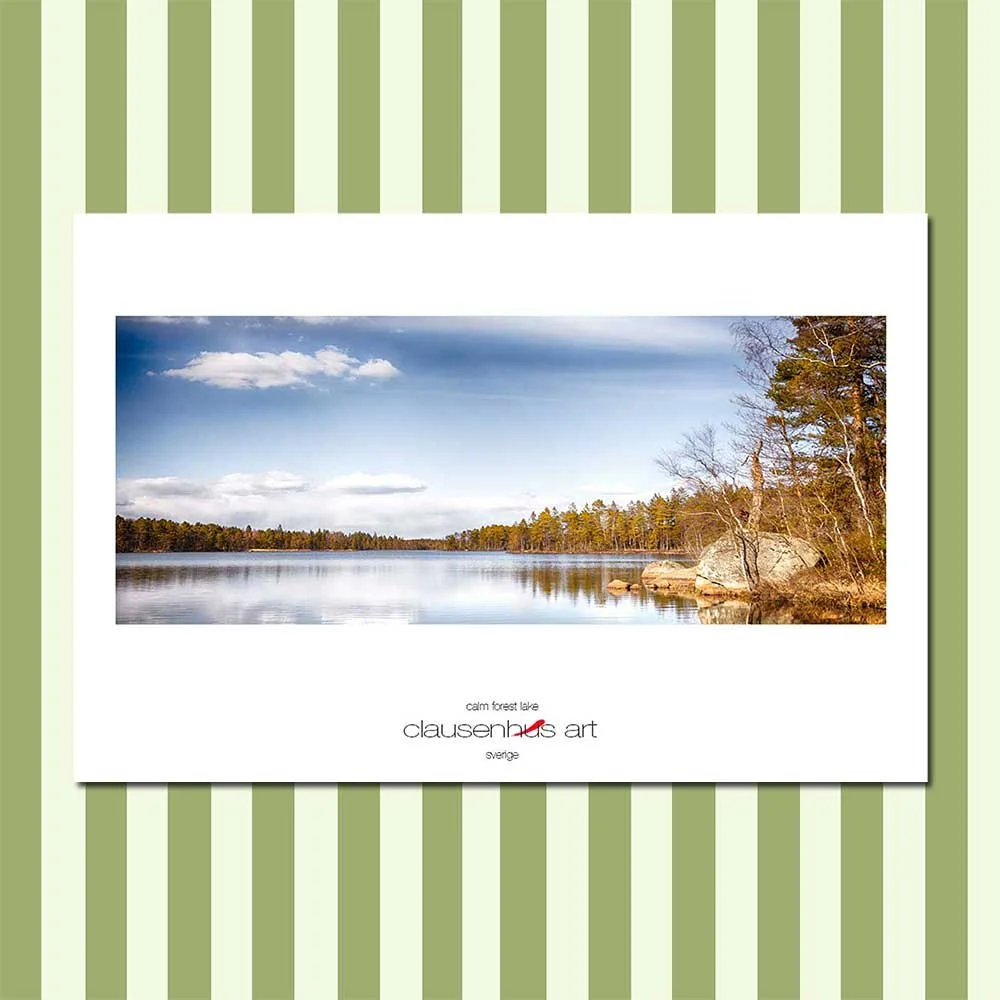 calm-forest-lake.jpg