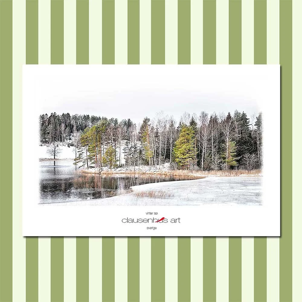 vinter-sø.jpg