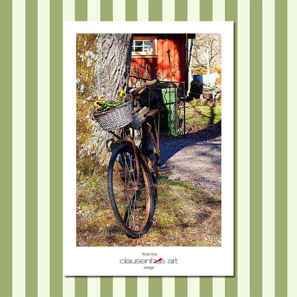 flower-bike.jpg