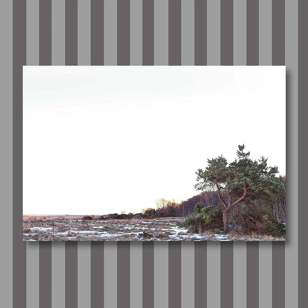 west-coast-interpretation-1-copy.jpg