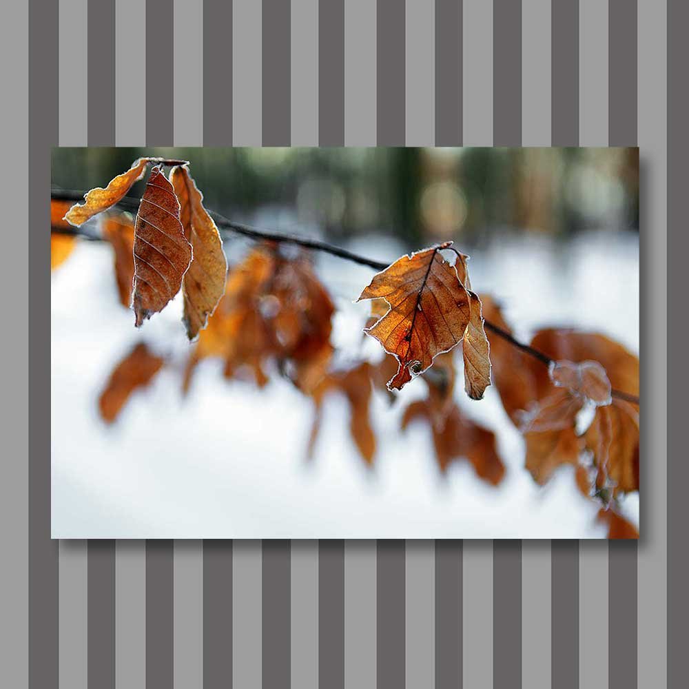 frozen-edge-copy.jpg