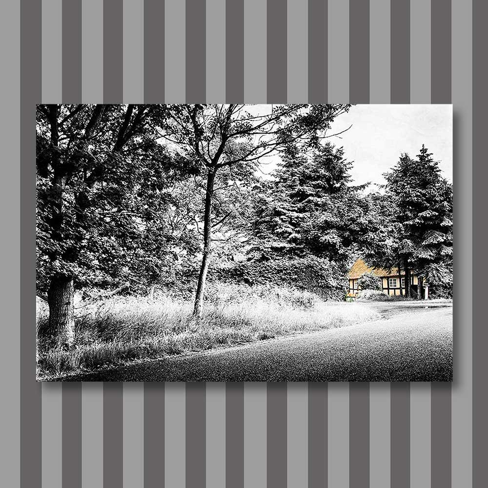 a-home-by-the-road-copy.jpg
