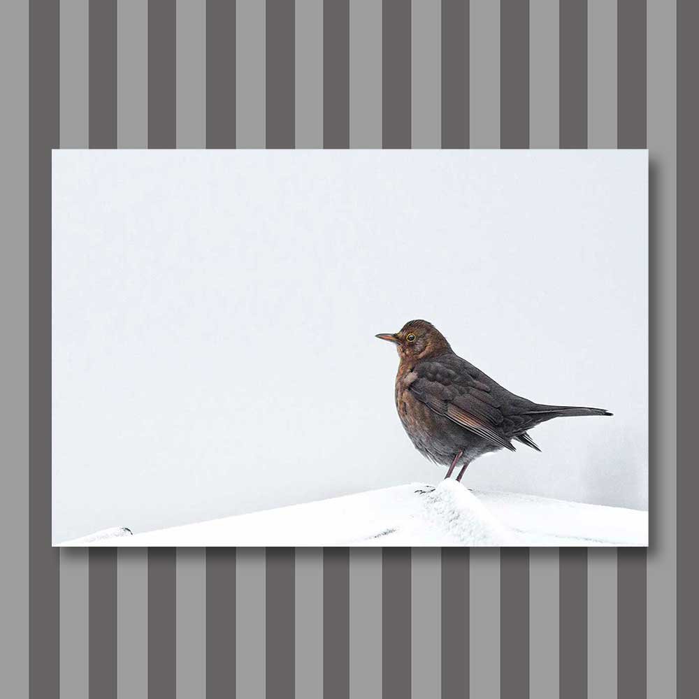 cold-feet.jpg