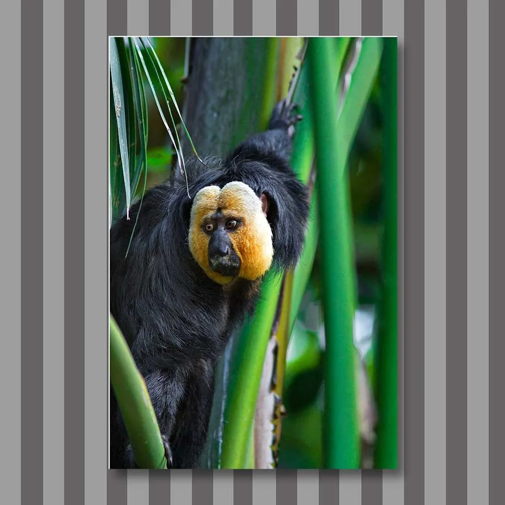 in-a-bamboo-jungle-copy.jpg