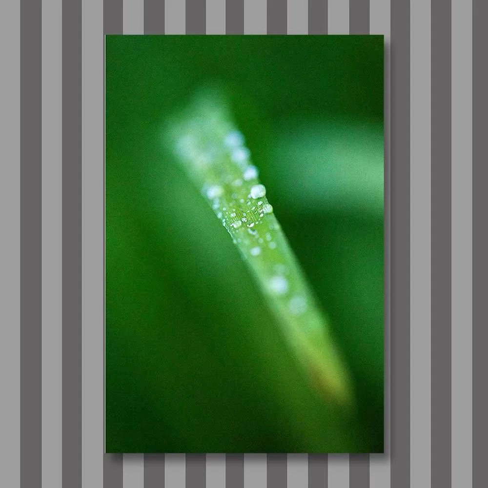 droplets.jpg