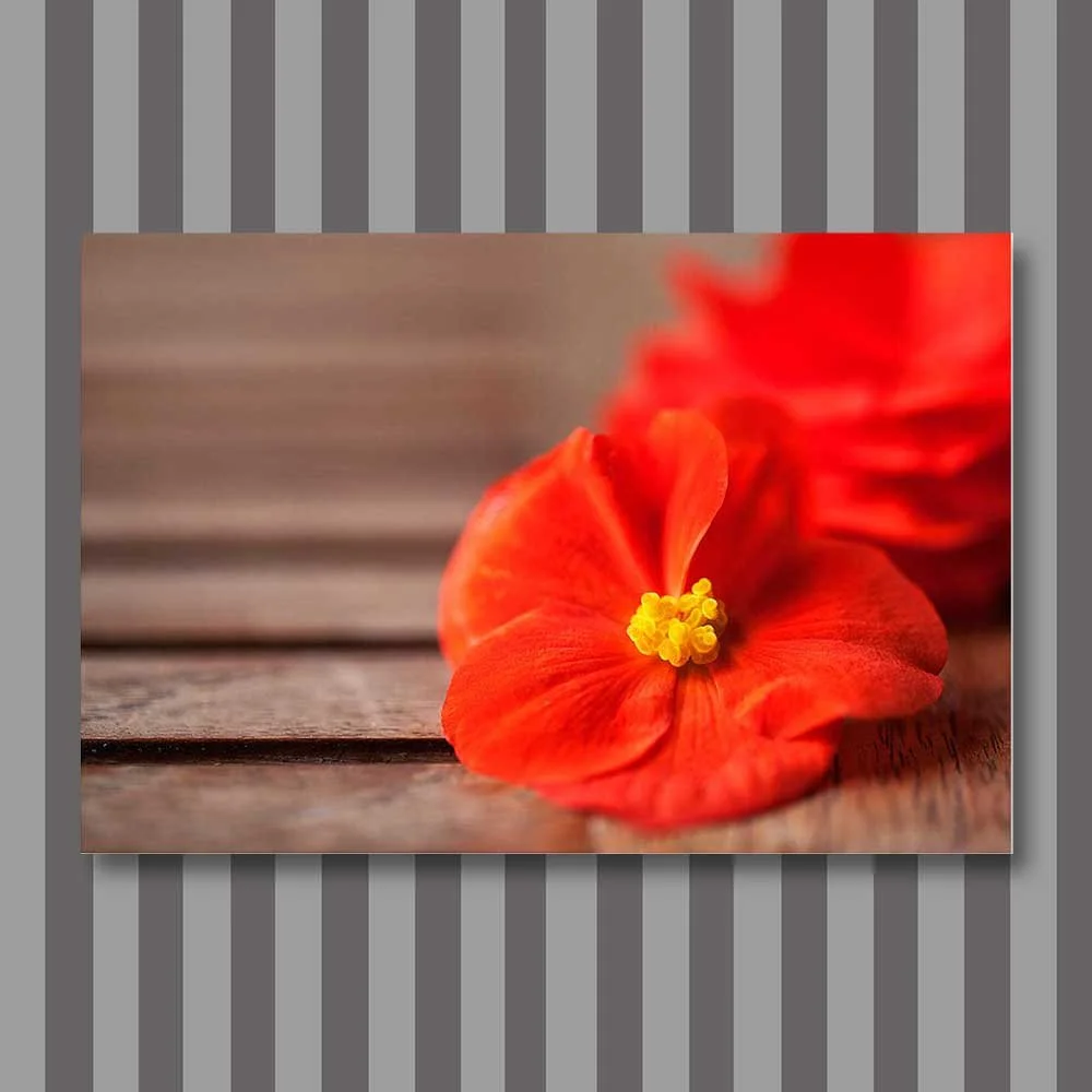 fallen-beauty.jpg