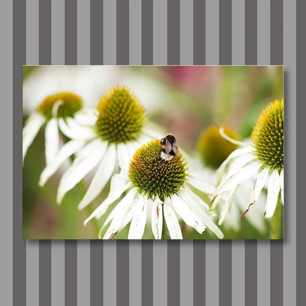 bumblebee-universe.jpg