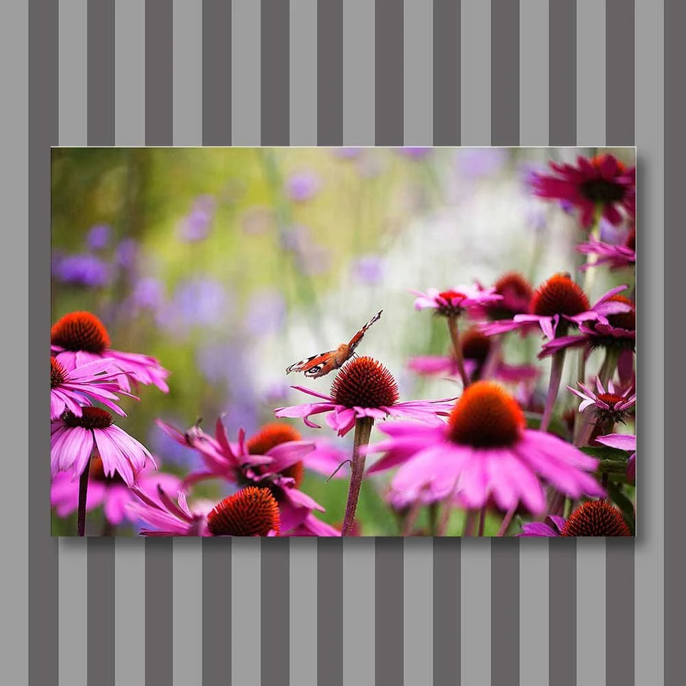 butterflies-jungle.jpg
