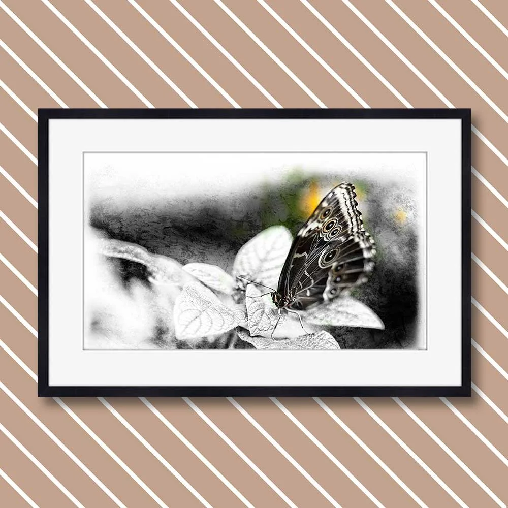 contemporary-macro-interpretation-3-copy.jpg