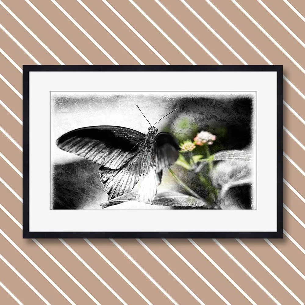 contemporary-macro-interpretation-4-copy.jpg