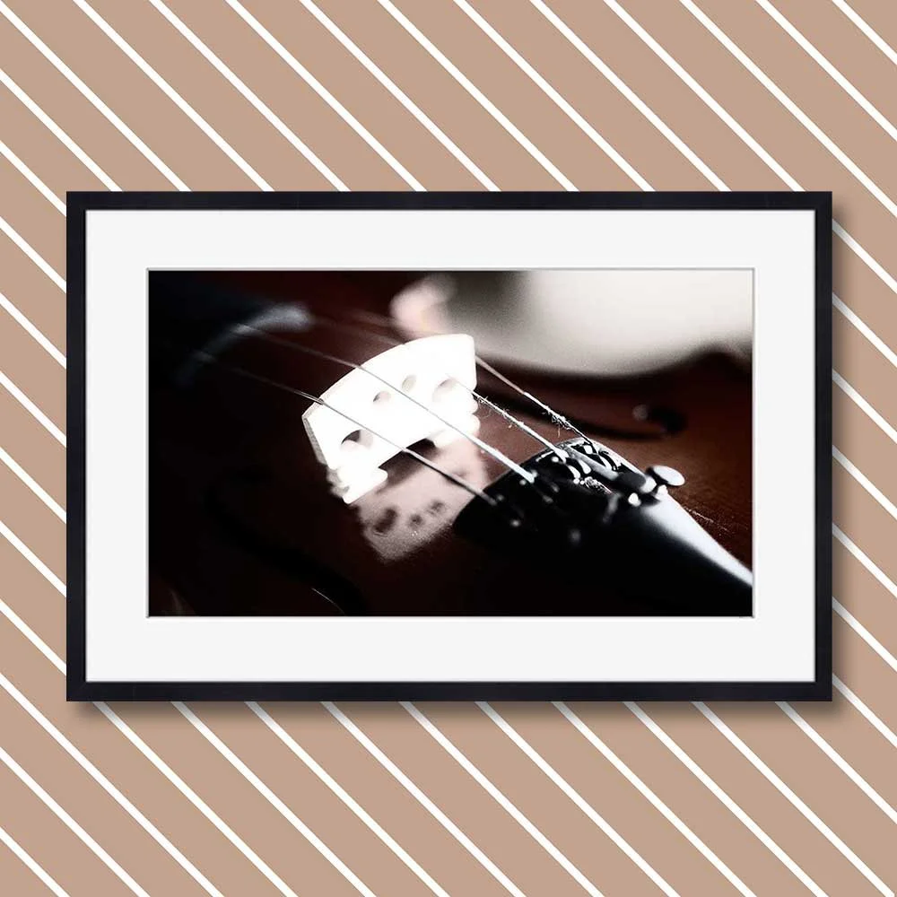 the-image-of-music-3.jpg