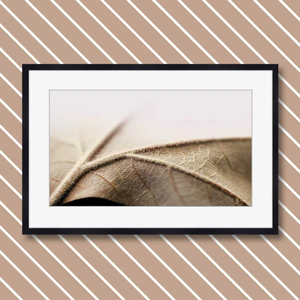 autumn-leaves.jpg
