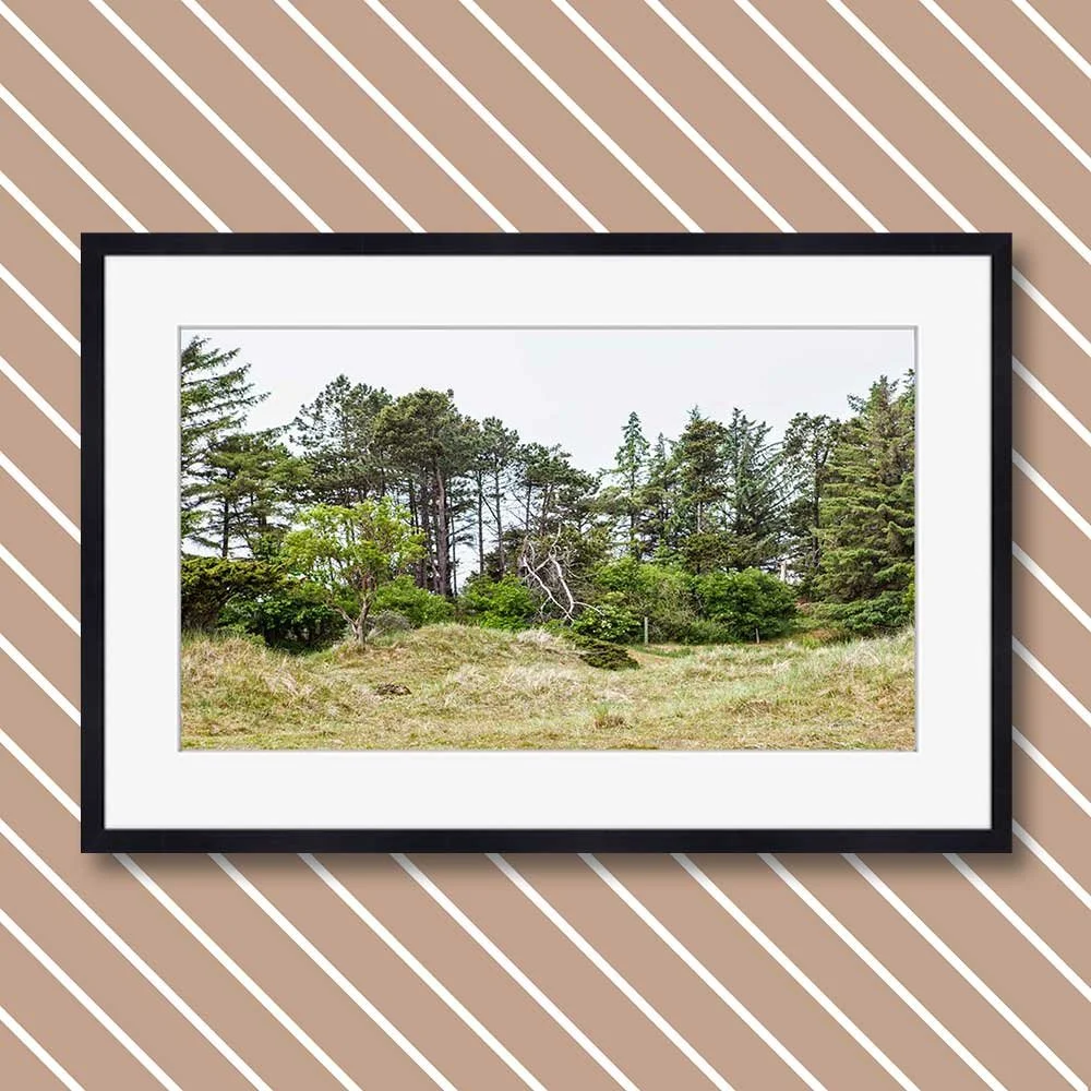 skallerup-indlandsklitter-2.jpg
