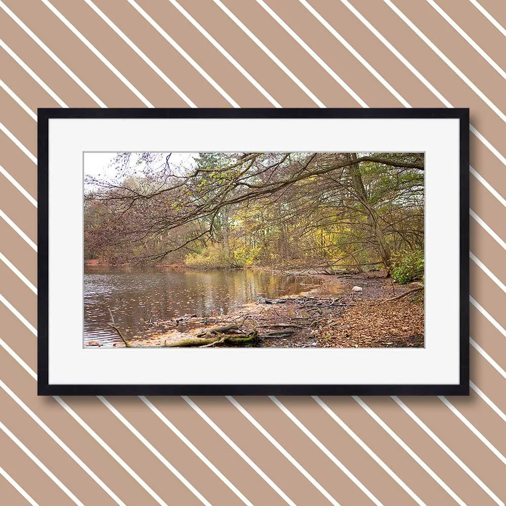 autumn-by-the-lake-copy.jpg