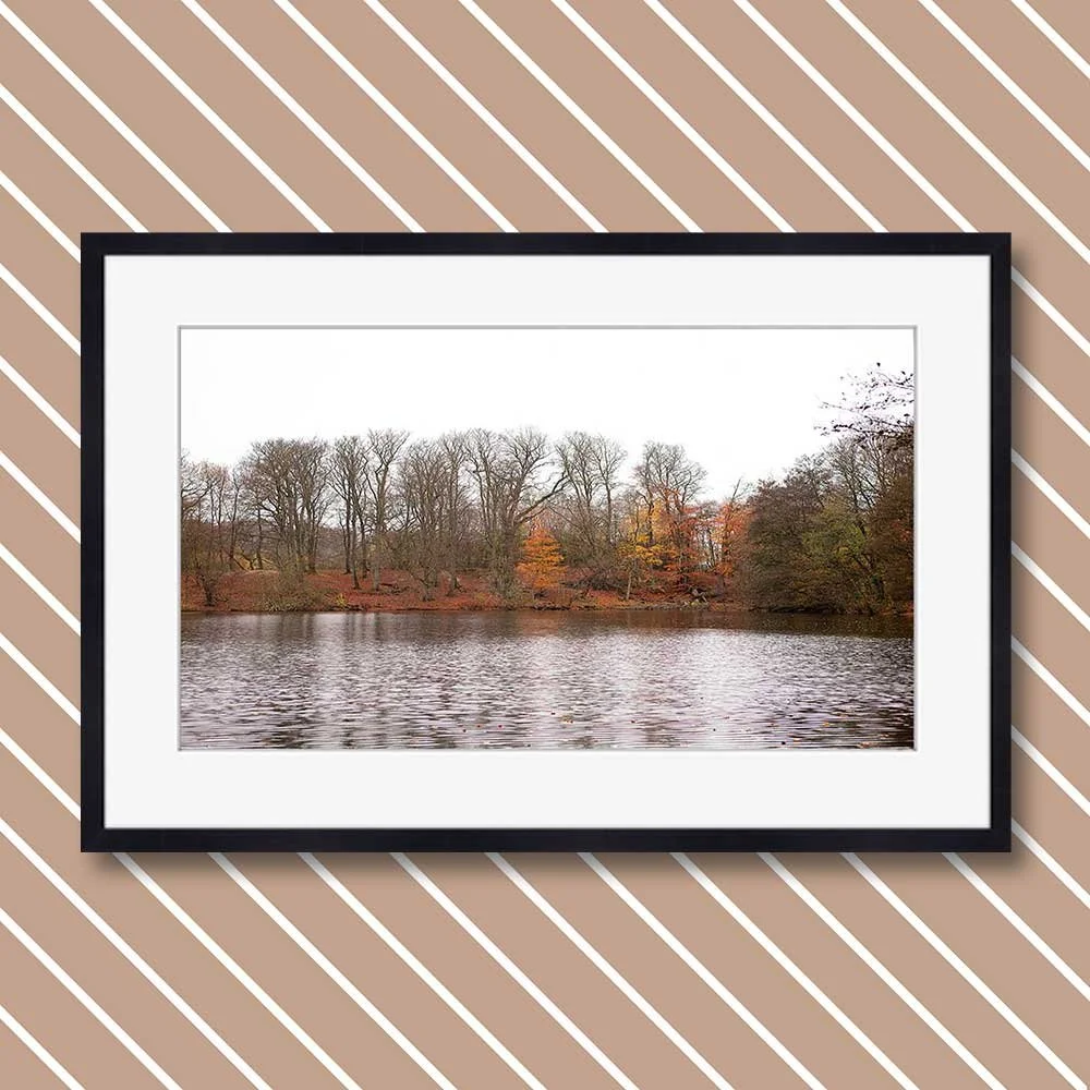 autumn-colors.jpg