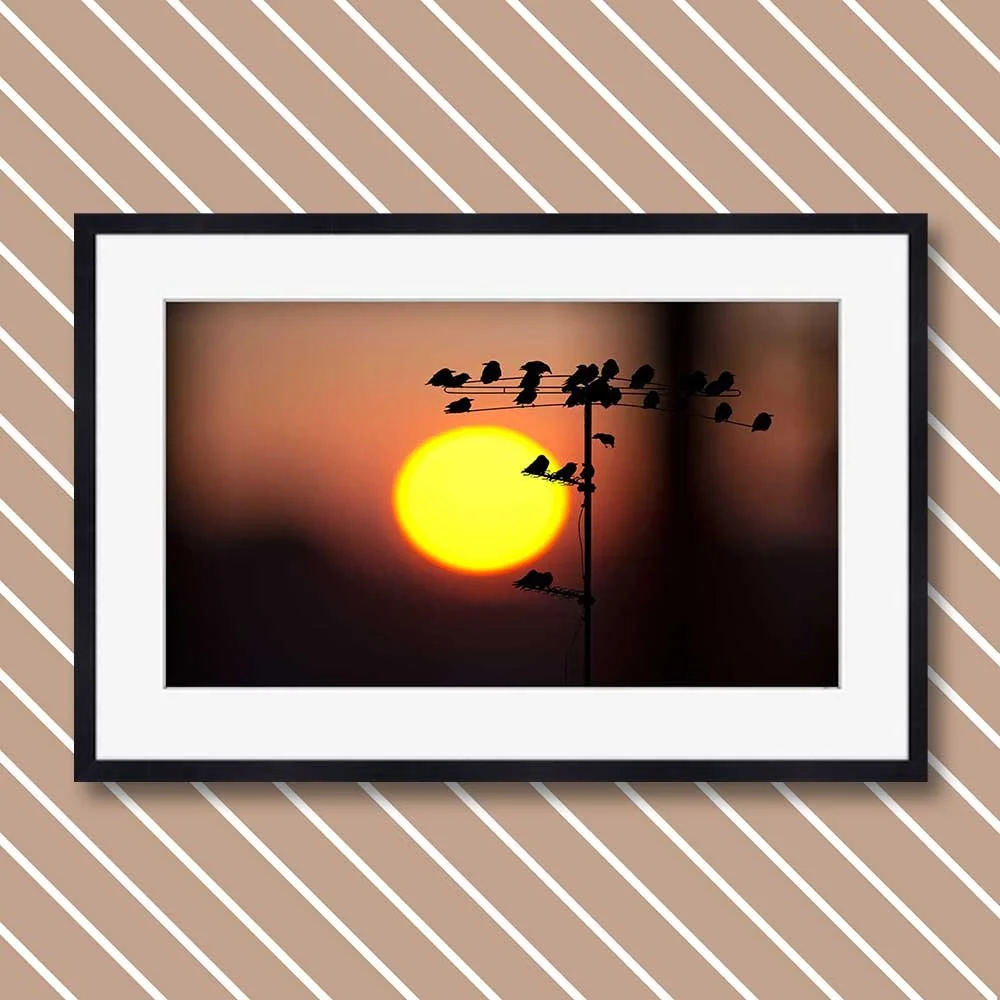 birds-at-sunrise-copy.jpg