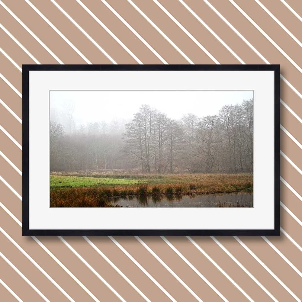 a-wet-and-foggy-december-day-10-copy.jpg